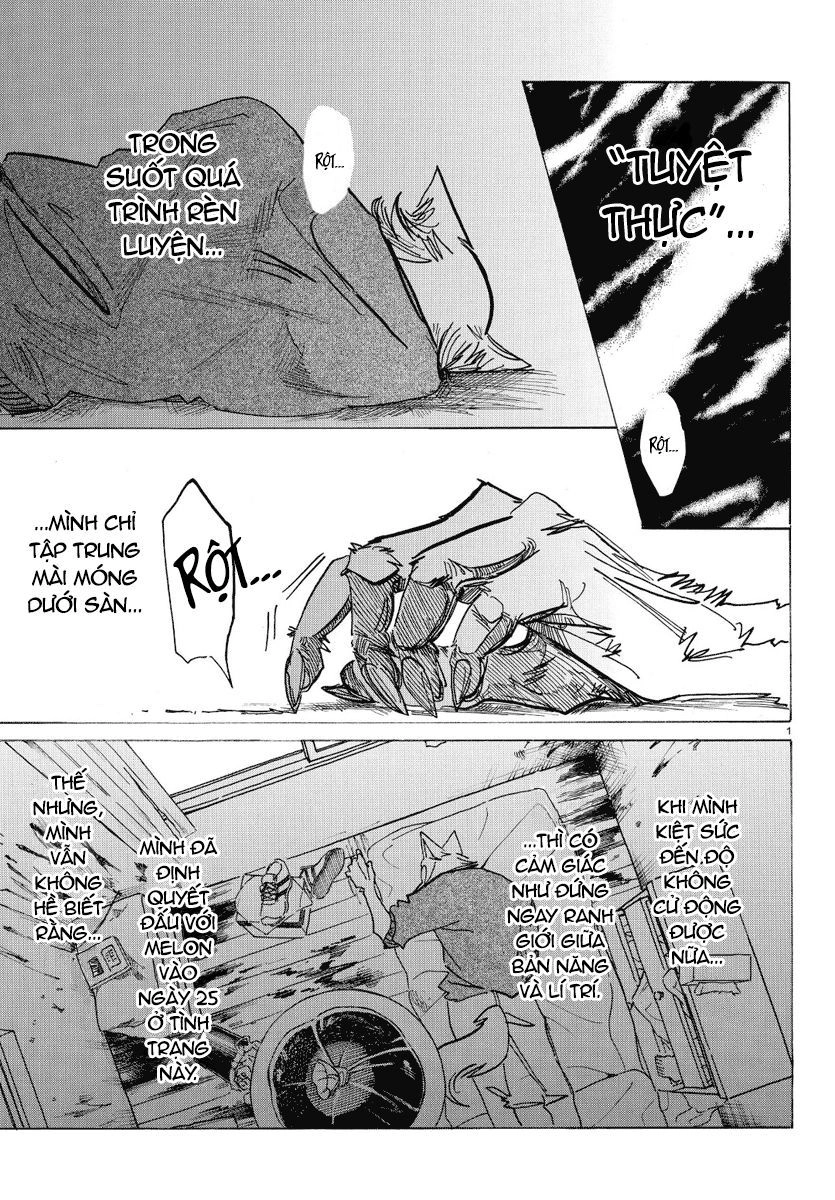 Bởi Vì Chúng Ta Đều Là Những Ngôi Sao Chapter 173 - 1