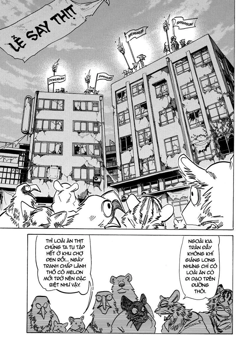 Bởi Vì Chúng Ta Đều Là Những Ngôi Sao Chapter 174 - 12