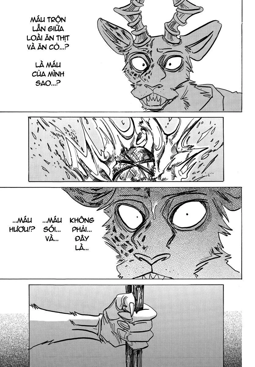 Bởi Vì Chúng Ta Đều Là Những Ngôi Sao Chapter 174 - 18