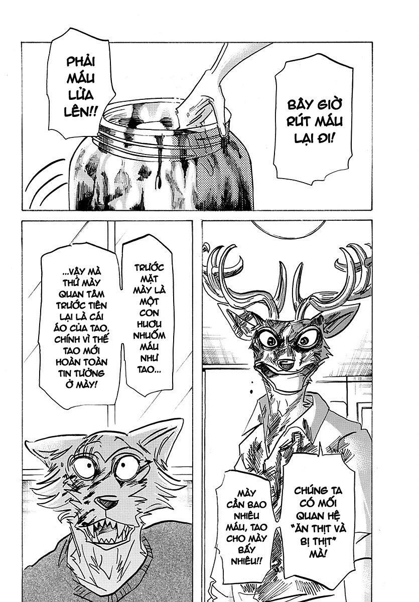 Bởi Vì Chúng Ta Đều Là Những Ngôi Sao Chapter 175 - 12