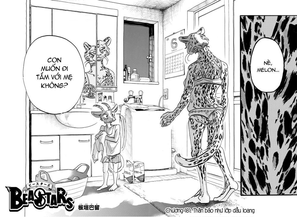 Bởi Vì Chúng Ta Đều Là Những Ngôi Sao Chapter 181 - 2