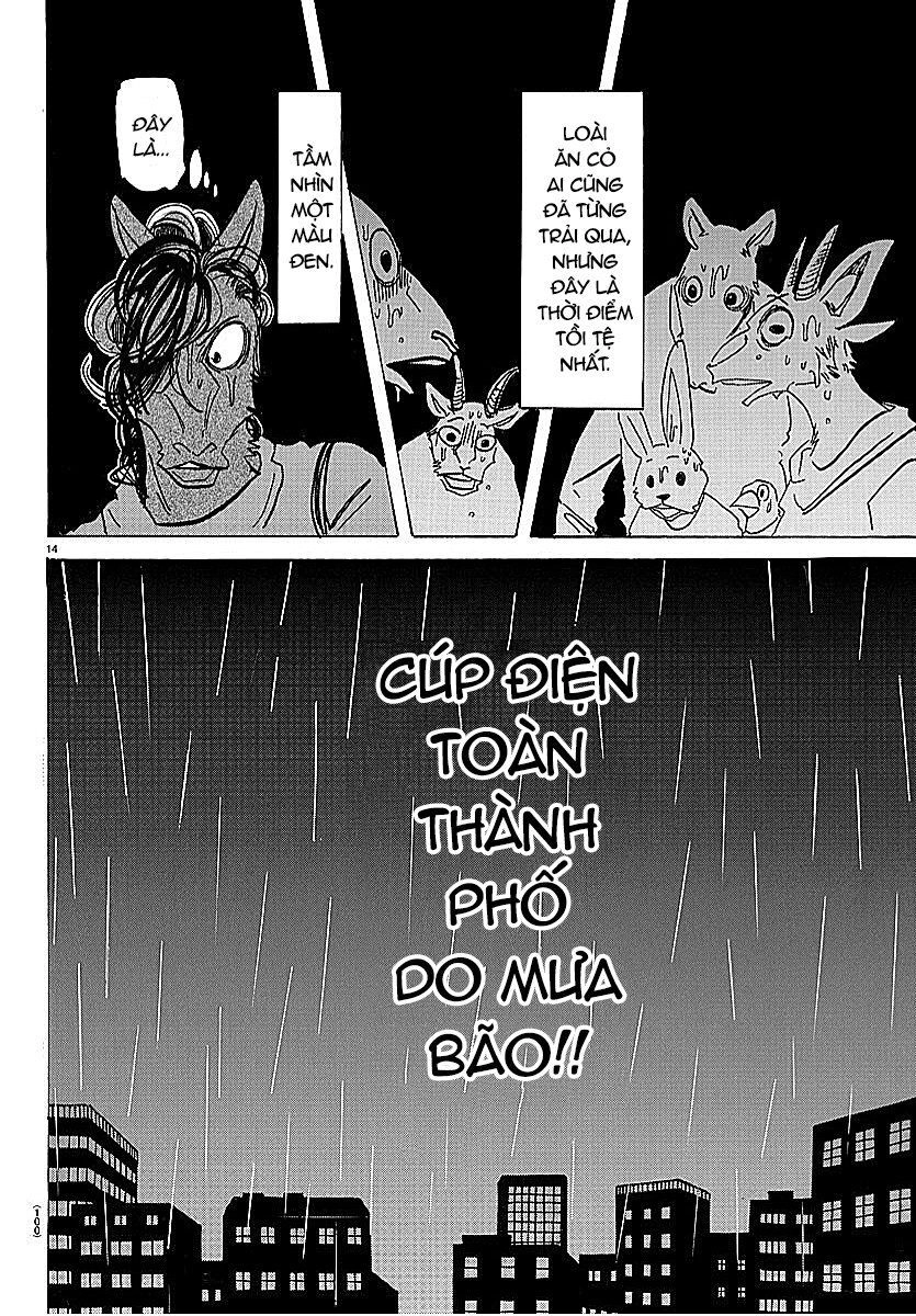 Bởi Vì Chúng Ta Đều Là Những Ngôi Sao Chapter 183 - 14