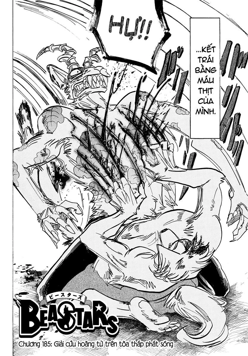 Bởi Vì Chúng Ta Đều Là Những Ngôi Sao Chapter 185 - 2