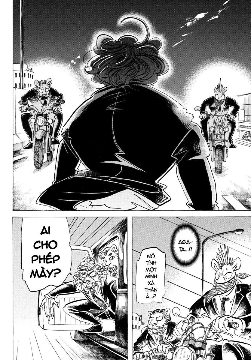 Bởi Vì Chúng Ta Đều Là Những Ngôi Sao Chapter 186 - 9