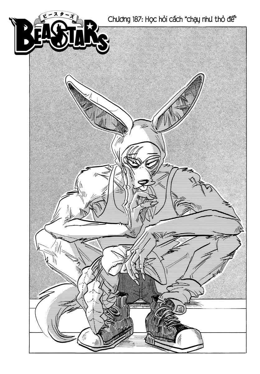 Bởi Vì Chúng Ta Đều Là Những Ngôi Sao Chapter 187 - 1