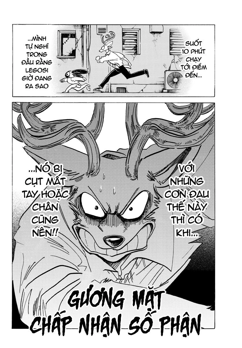 Bởi Vì Chúng Ta Đều Là Những Ngôi Sao Chapter 187 - 2