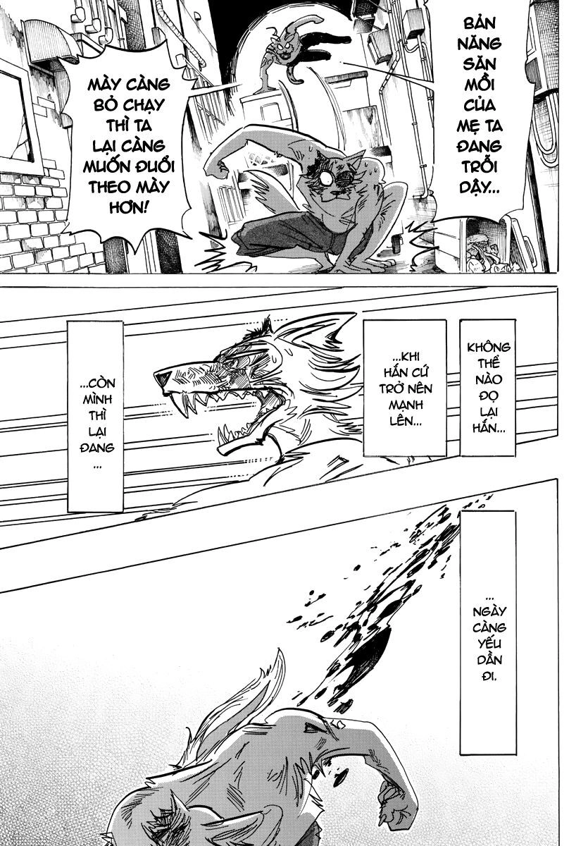 Bởi Vì Chúng Ta Đều Là Những Ngôi Sao Chapter 187 - 7