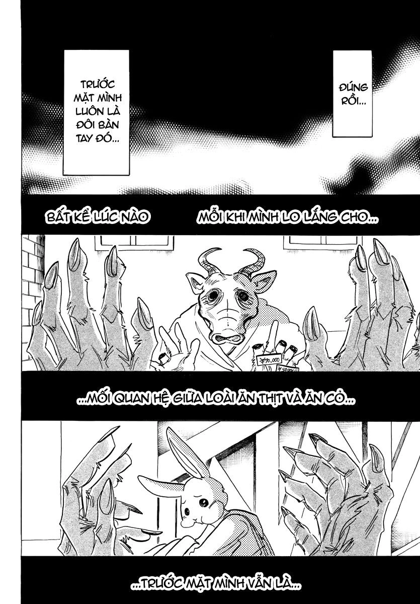 Bởi Vì Chúng Ta Đều Là Những Ngôi Sao Chapter 187 - 12