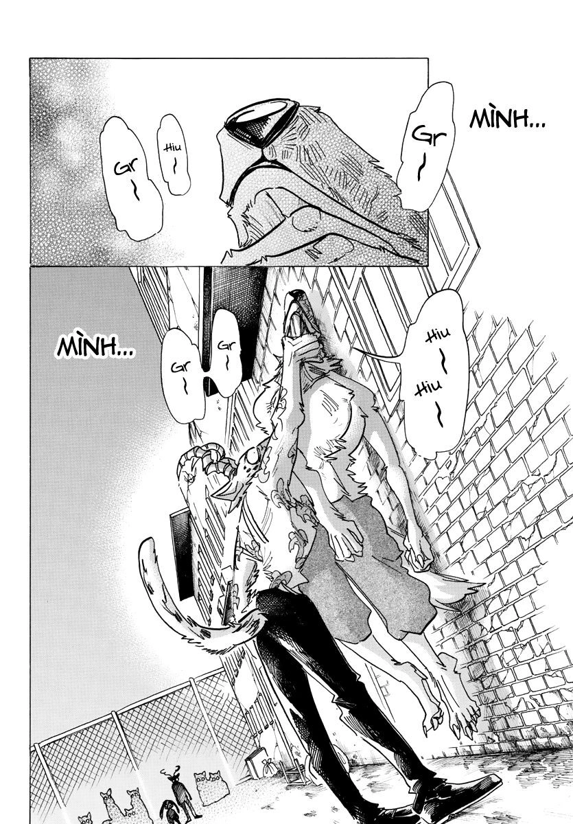 Bởi Vì Chúng Ta Đều Là Những Ngôi Sao Chapter 187 - 14