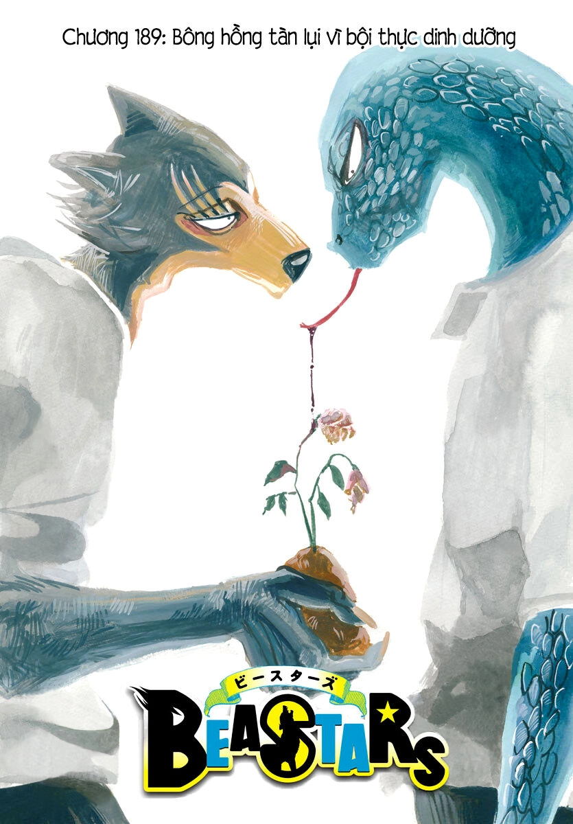 Bởi Vì Chúng Ta Đều Là Những Ngôi Sao Chapter 189 - 1