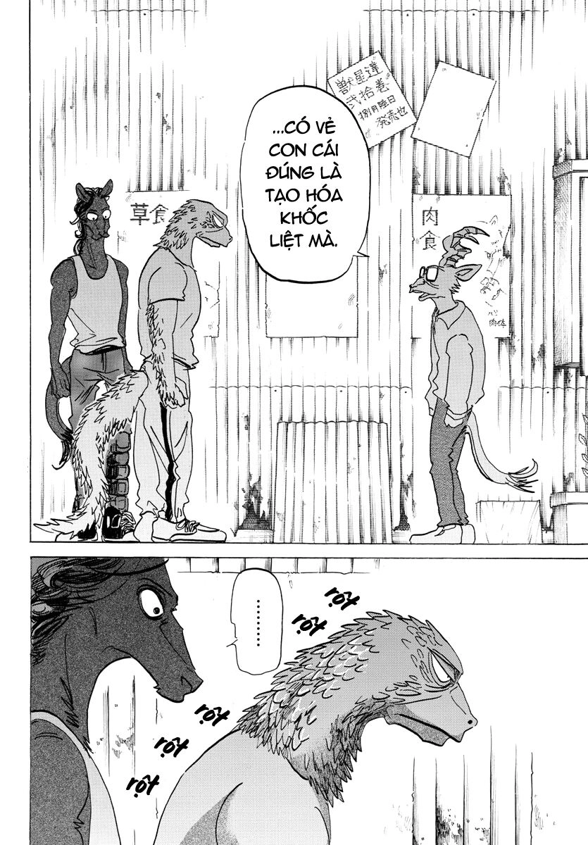 Bởi Vì Chúng Ta Đều Là Những Ngôi Sao Chapter 189 - 3