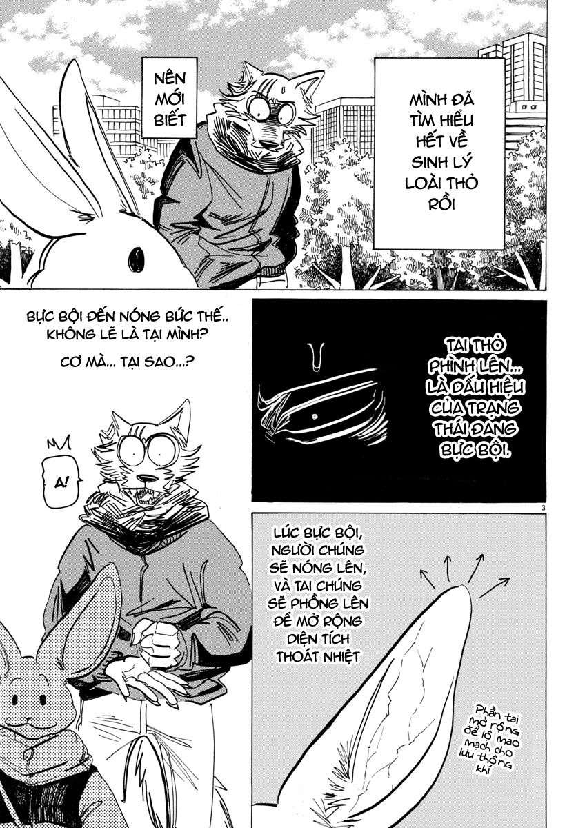 Bởi Vì Chúng Ta Đều Là Những Ngôi Sao Chapter 195 - 3