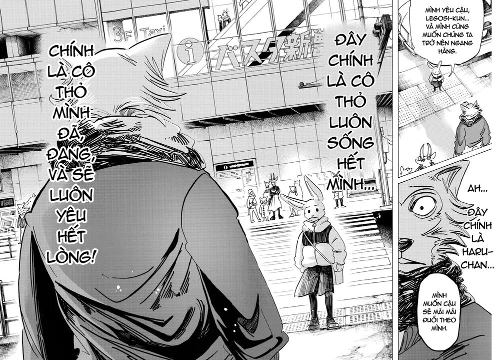 Bởi Vì Chúng Ta Đều Là Những Ngôi Sao Chapter 195 - 18