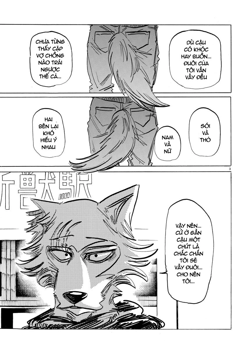 Bởi Vì Chúng Ta Đều Là Những Ngôi Sao Chapter 196 - 5