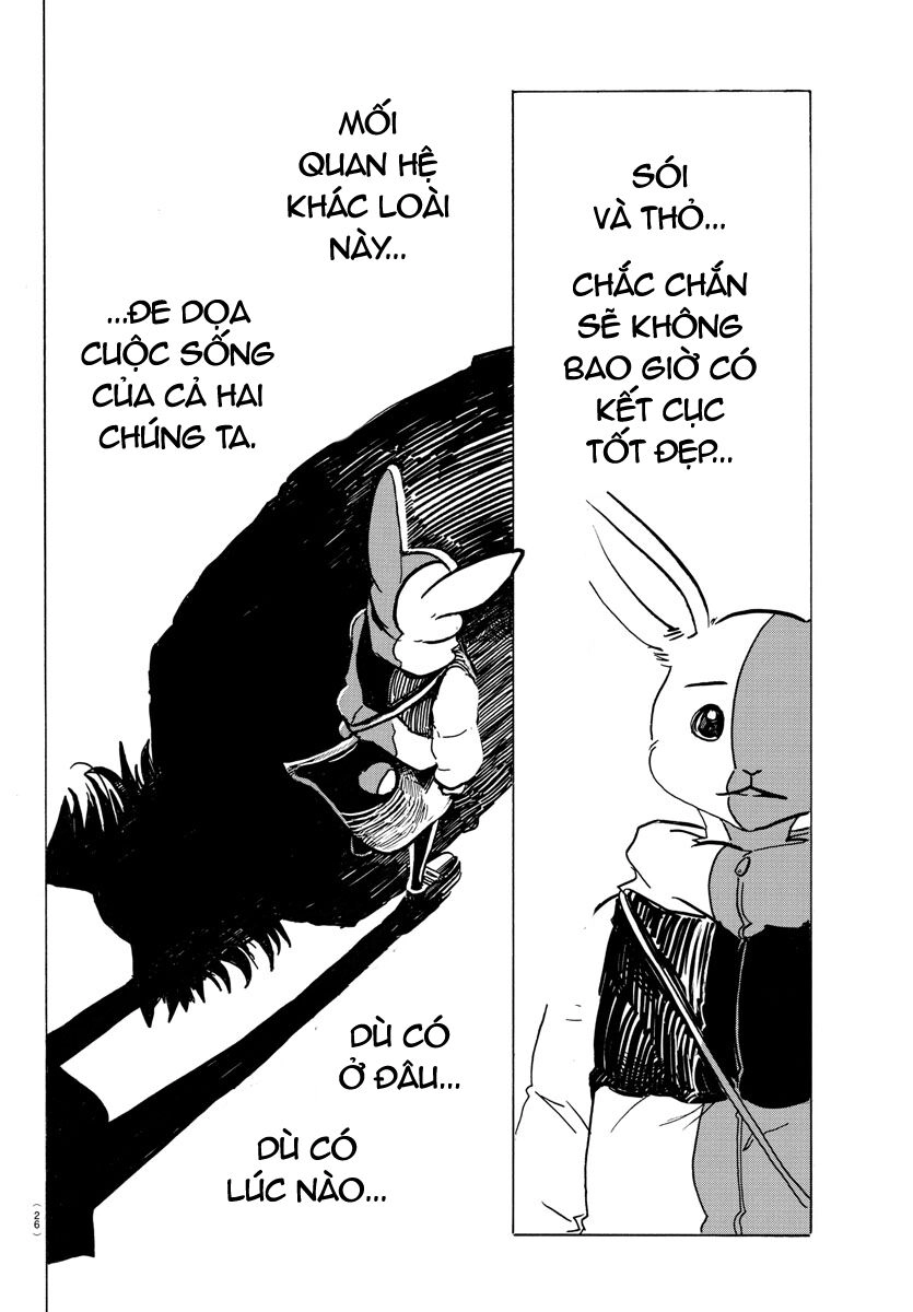 Bởi Vì Chúng Ta Đều Là Những Ngôi Sao Chapter 196 - 9