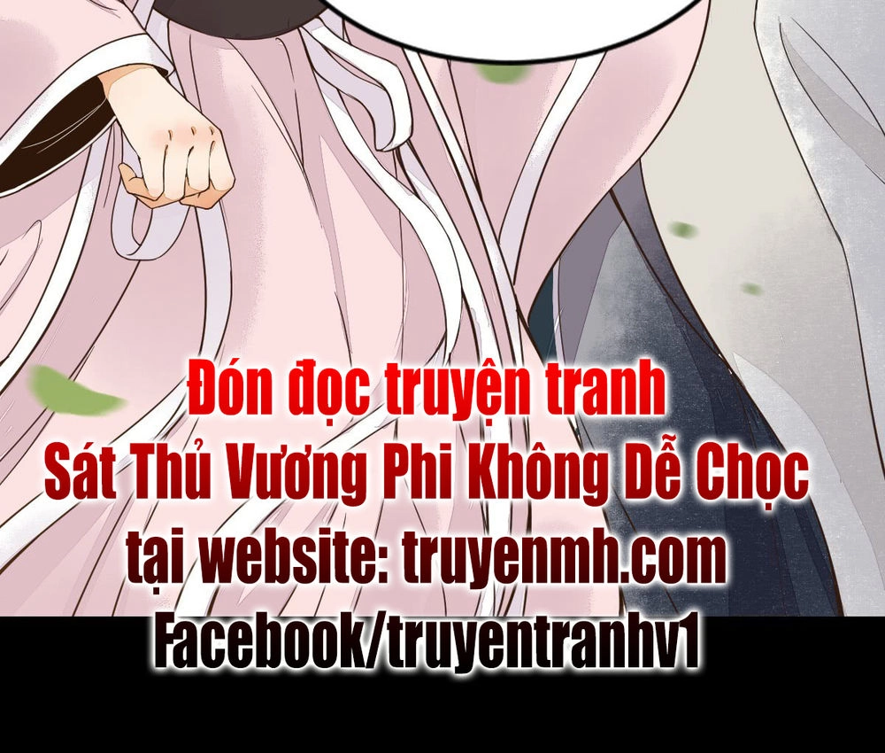 Sát Thủ Vương Phi Không Dễ Chọc Chapter 1 - 25