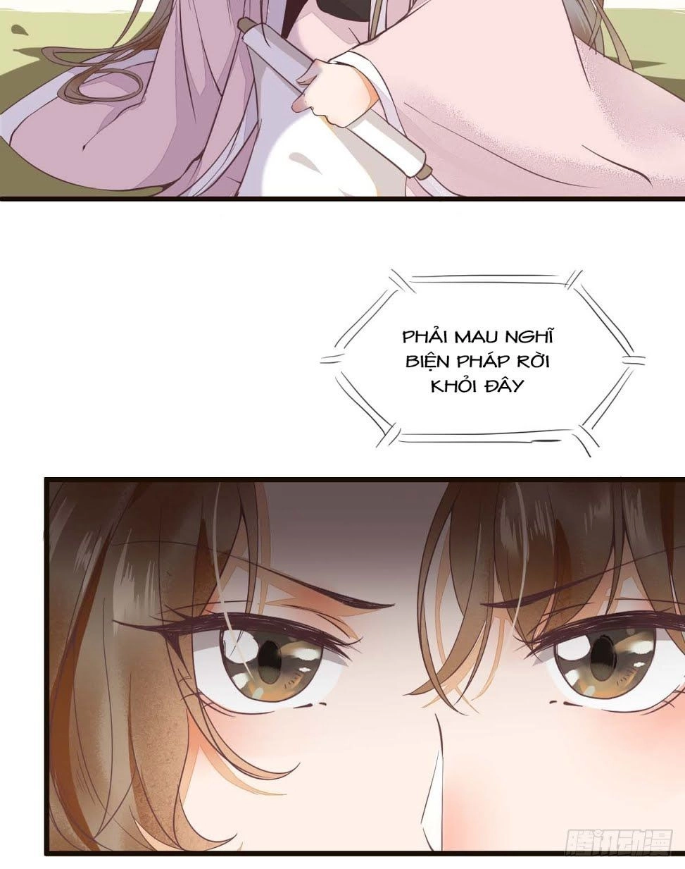 Sát Thủ Vương Phi Không Dễ Chọc Chapter 5 - 19