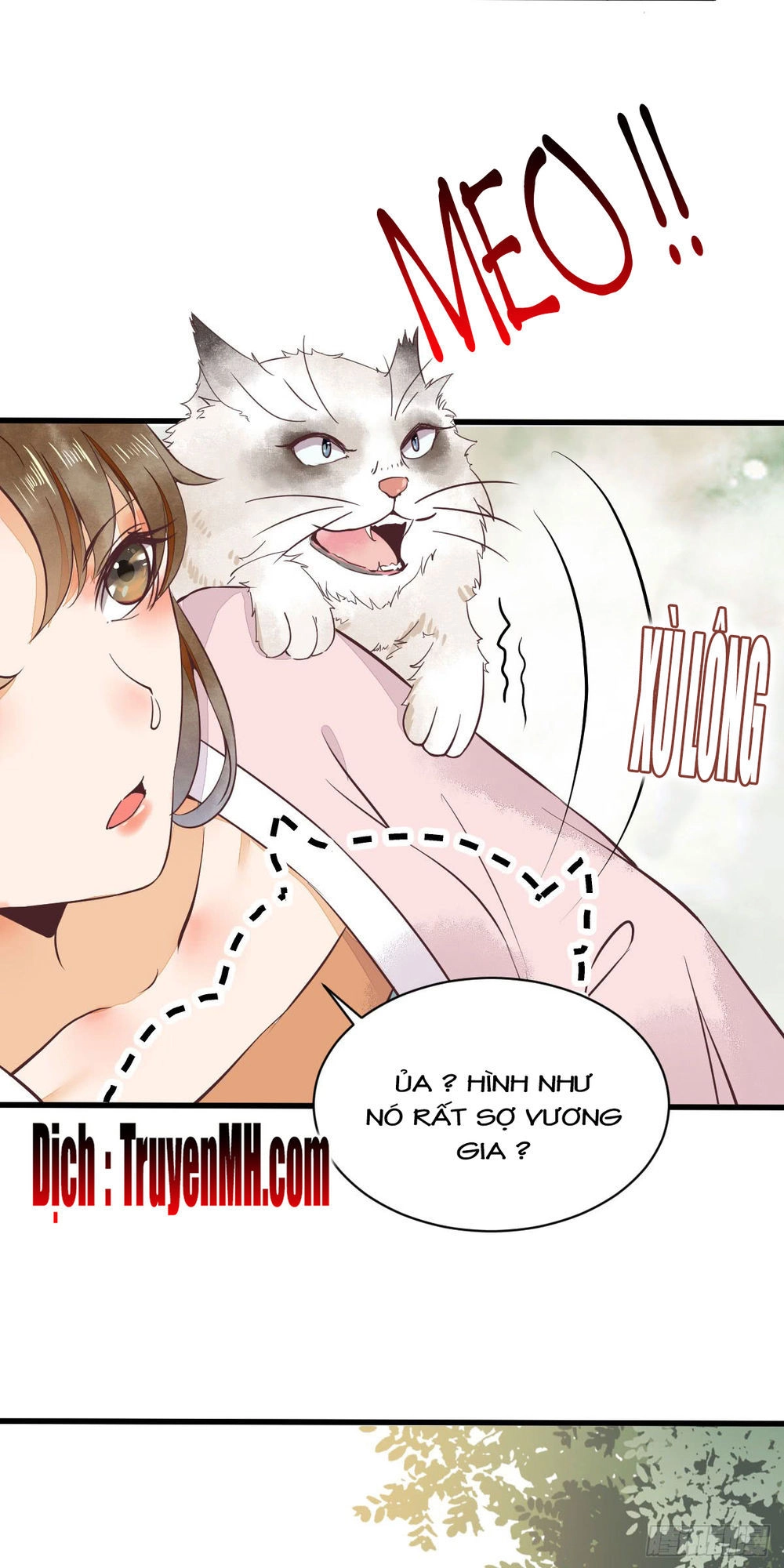 Sát Thủ Vương Phi Không Dễ Chọc Chapter 10 - 11