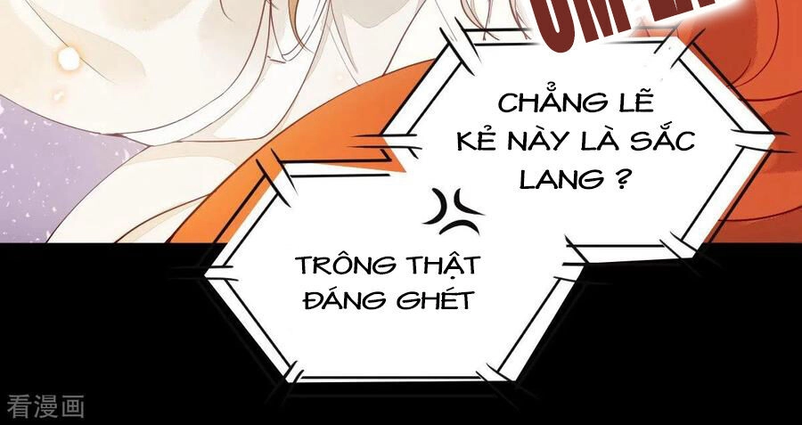 Sát Thủ Vương Phi Không Dễ Chọc Chapter 40 - 8