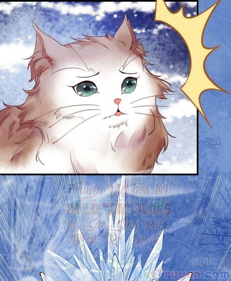 Sát Thủ Vương Phi Không Dễ Chọc Chapter 44 - 11