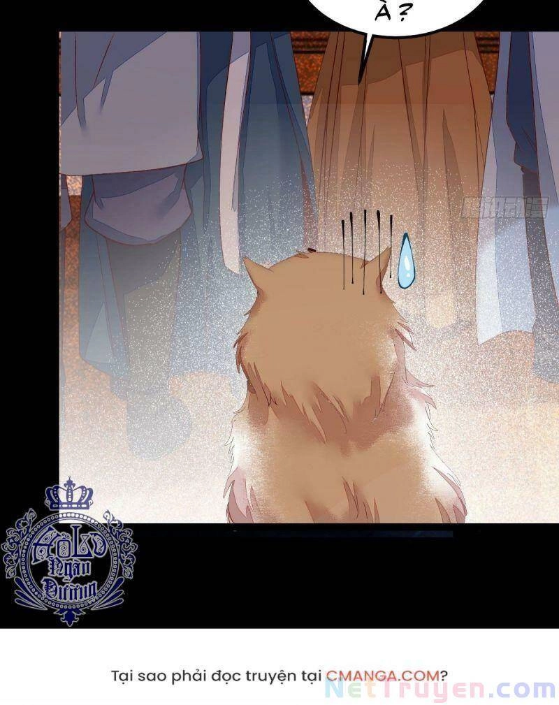 Sát Thủ Vương Phi Không Dễ Chọc Chapter 44 - 29