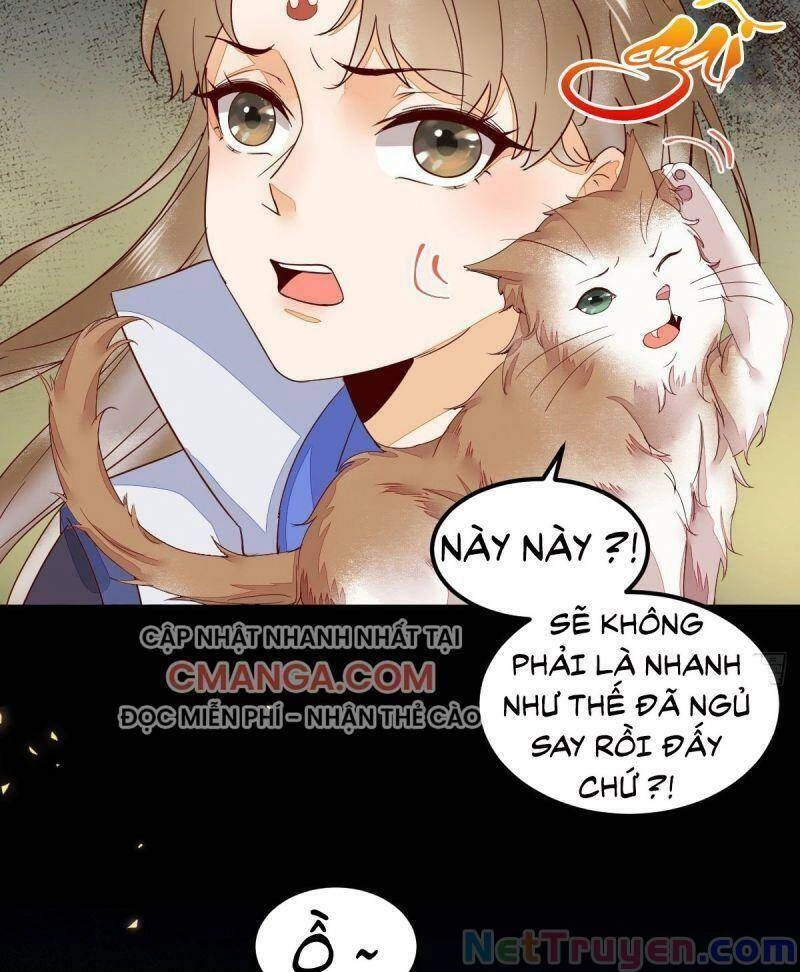 Sát Thủ Vương Phi Không Dễ Chọc Chapter 44 - 47