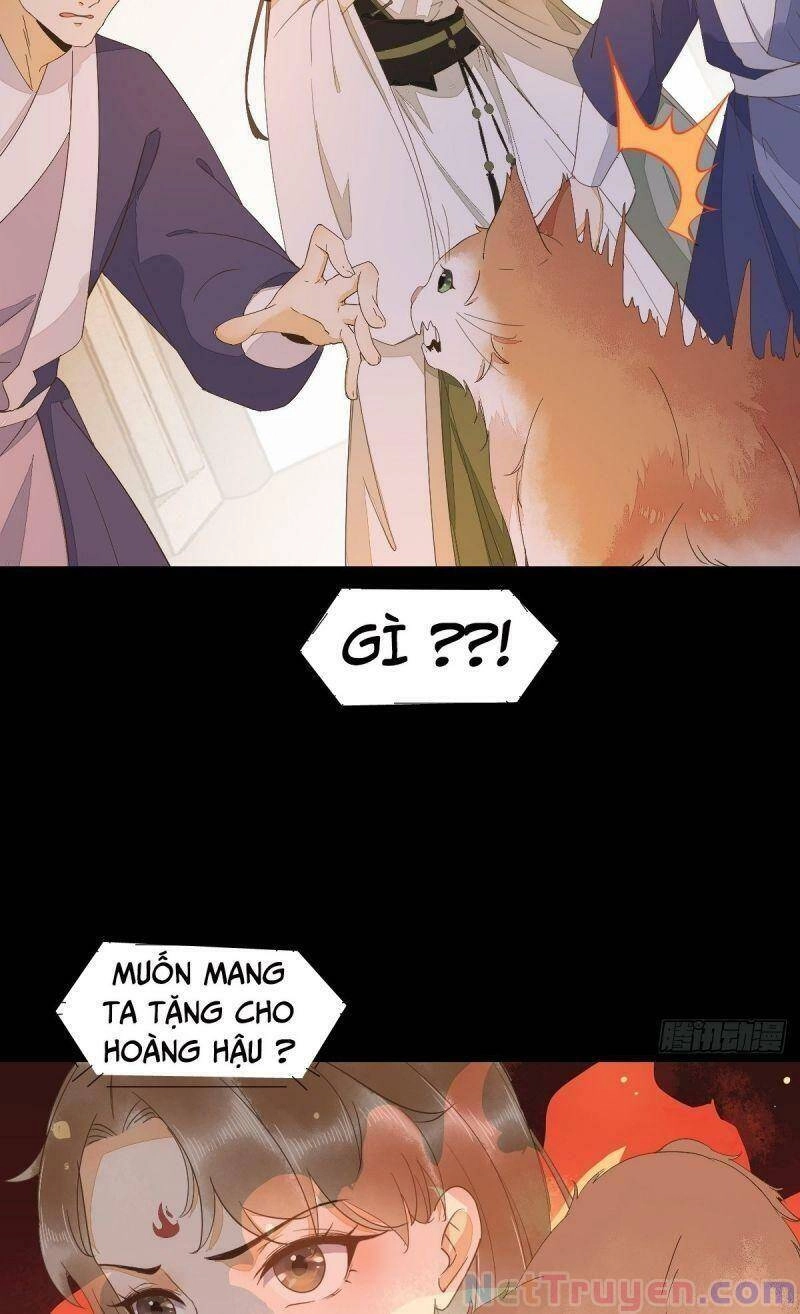 Sát Thủ Vương Phi Không Dễ Chọc Chapter 44 - 51