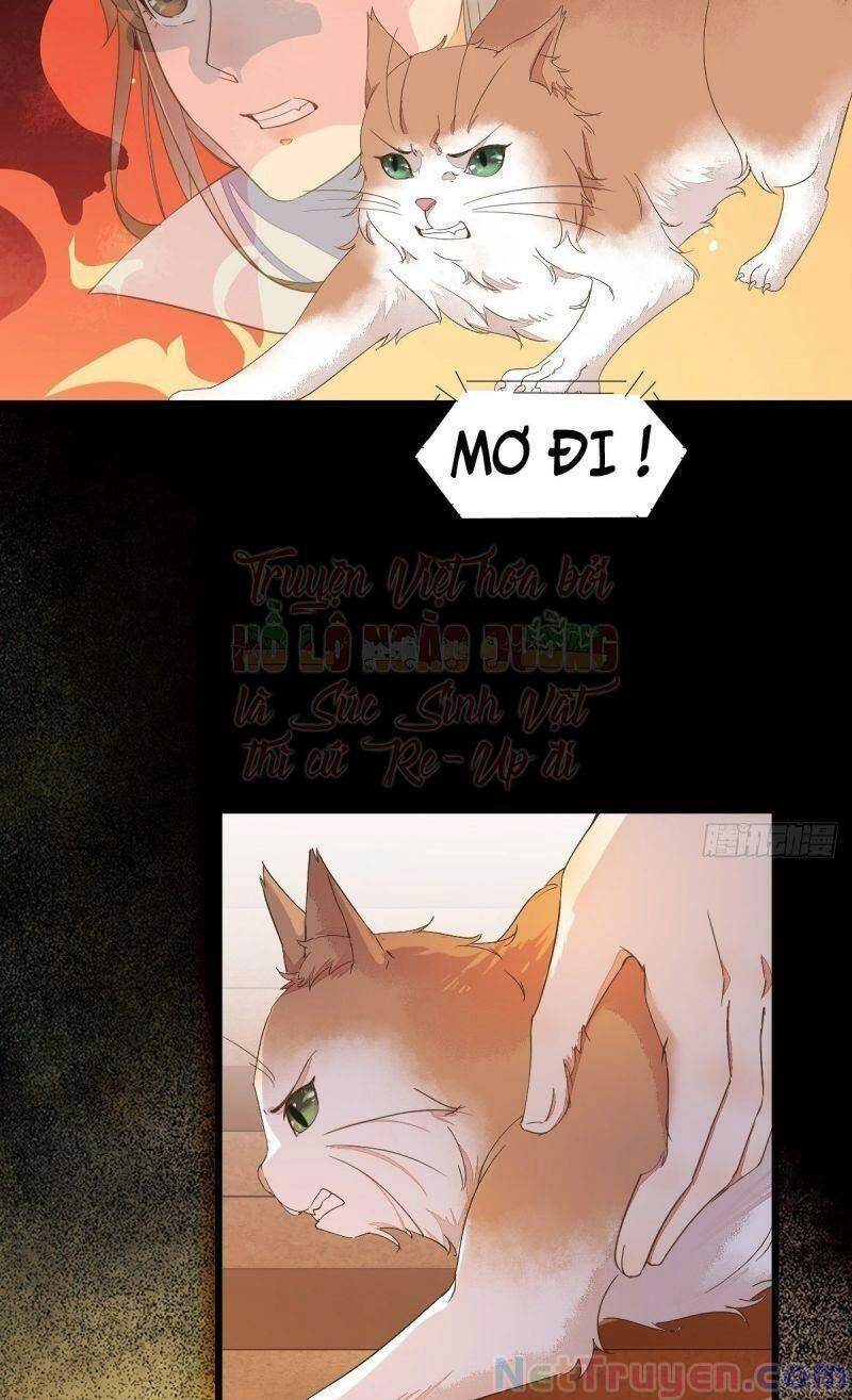 Sát Thủ Vương Phi Không Dễ Chọc Chapter 44 - 52