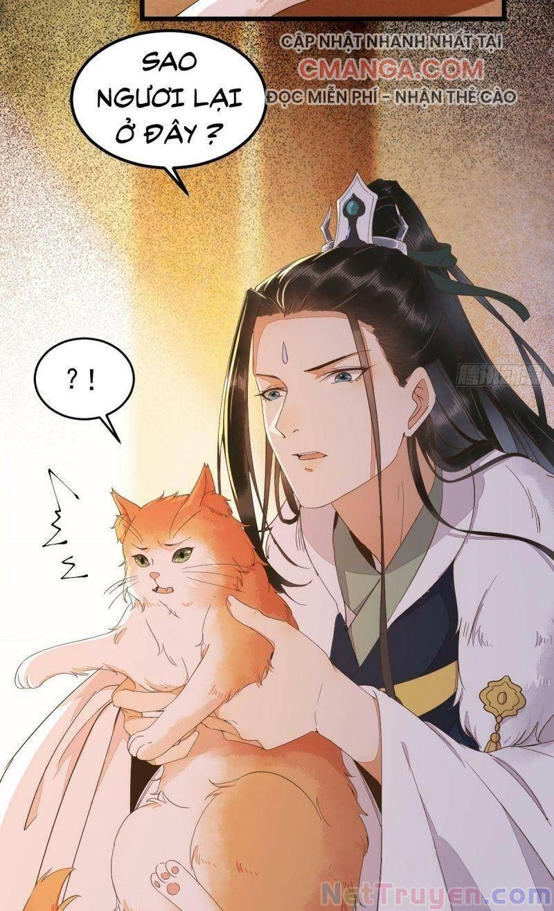 Sát Thủ Vương Phi Không Dễ Chọc Chapter 44 - 53