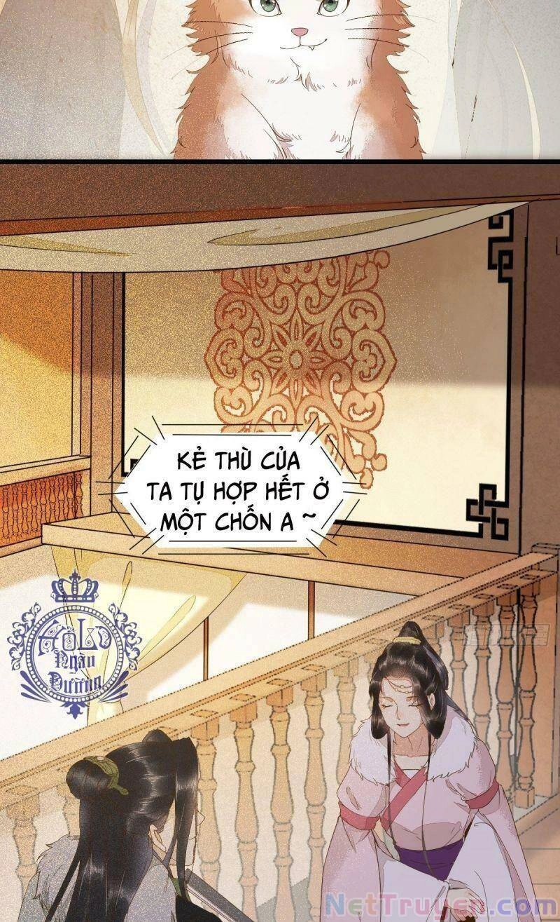 Sát Thủ Vương Phi Không Dễ Chọc Chapter 44 - 59