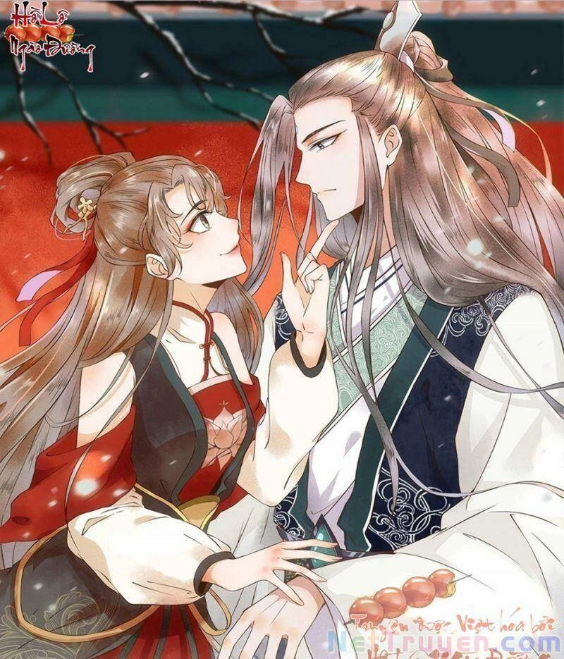 Sát Thủ Vương Phi Không Dễ Chọc Chapter 45 - 1