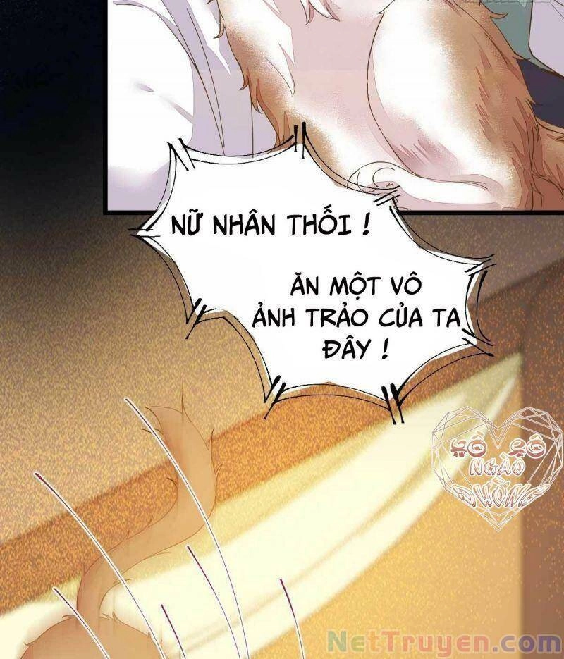 Sát Thủ Vương Phi Không Dễ Chọc Chapter 45 - 6