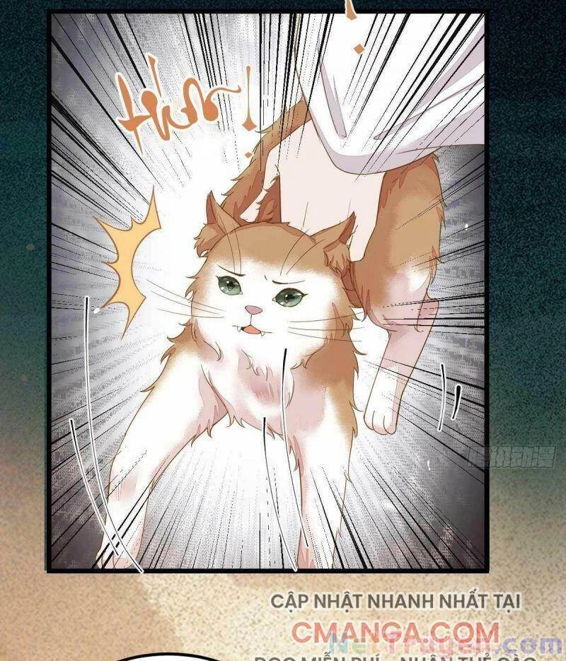 Sát Thủ Vương Phi Không Dễ Chọc Chapter 45 - 11