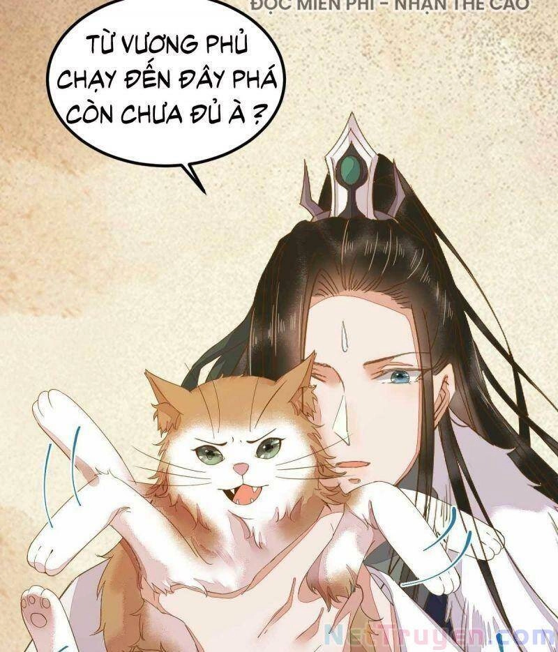 Sát Thủ Vương Phi Không Dễ Chọc Chapter 45 - 12