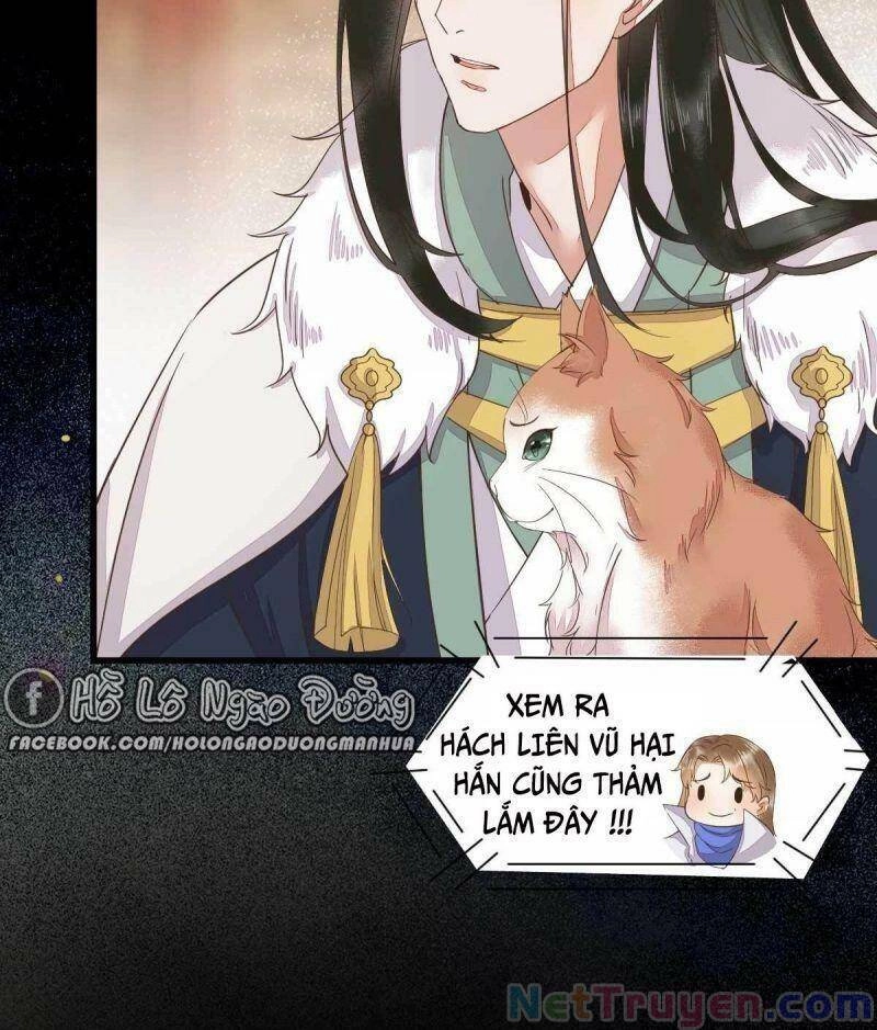 Sát Thủ Vương Phi Không Dễ Chọc Chapter 45 - 37