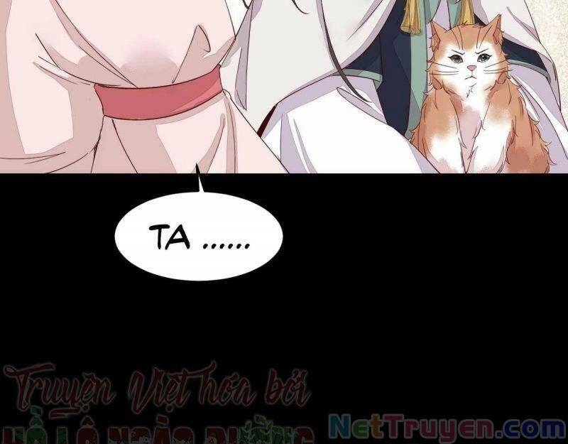 Sát Thủ Vương Phi Không Dễ Chọc Chapter 45 - 51