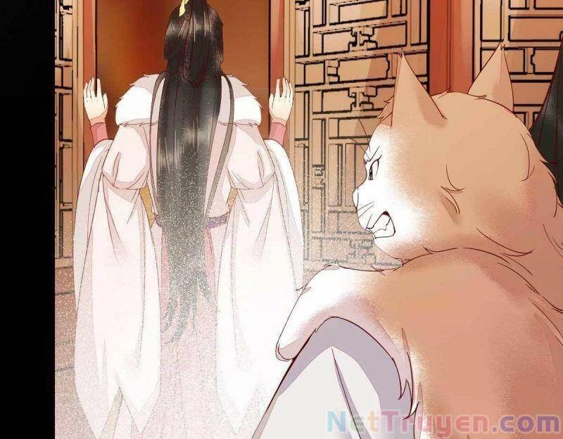 Sát Thủ Vương Phi Không Dễ Chọc Chapter 45 - 55