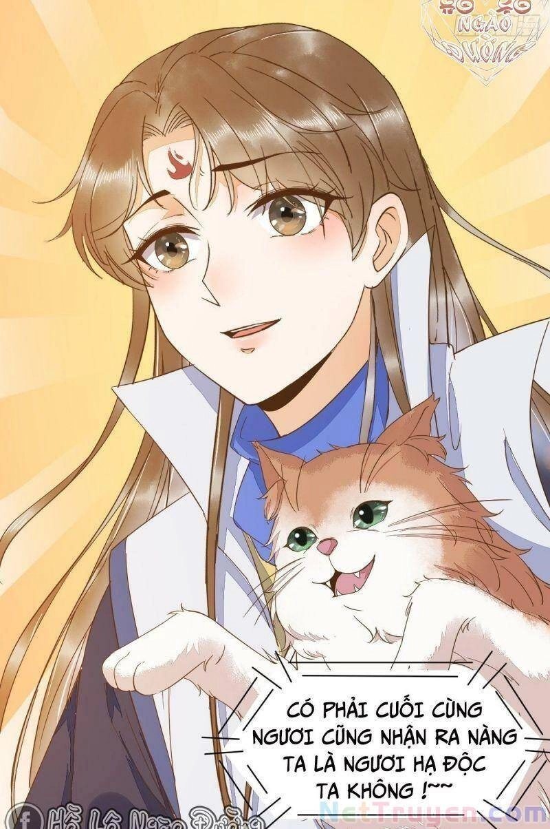 Sát Thủ Vương Phi Không Dễ Chọc Chapter 46 - 5