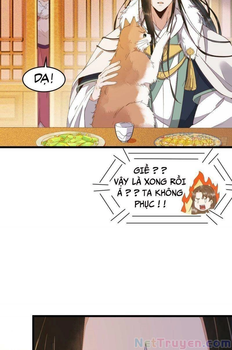 Sát Thủ Vương Phi Không Dễ Chọc Chapter 46 - 8