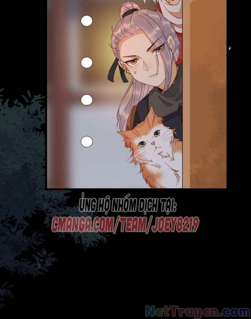 Sát Thủ Vương Phi Không Dễ Chọc Chapter 46 - 17