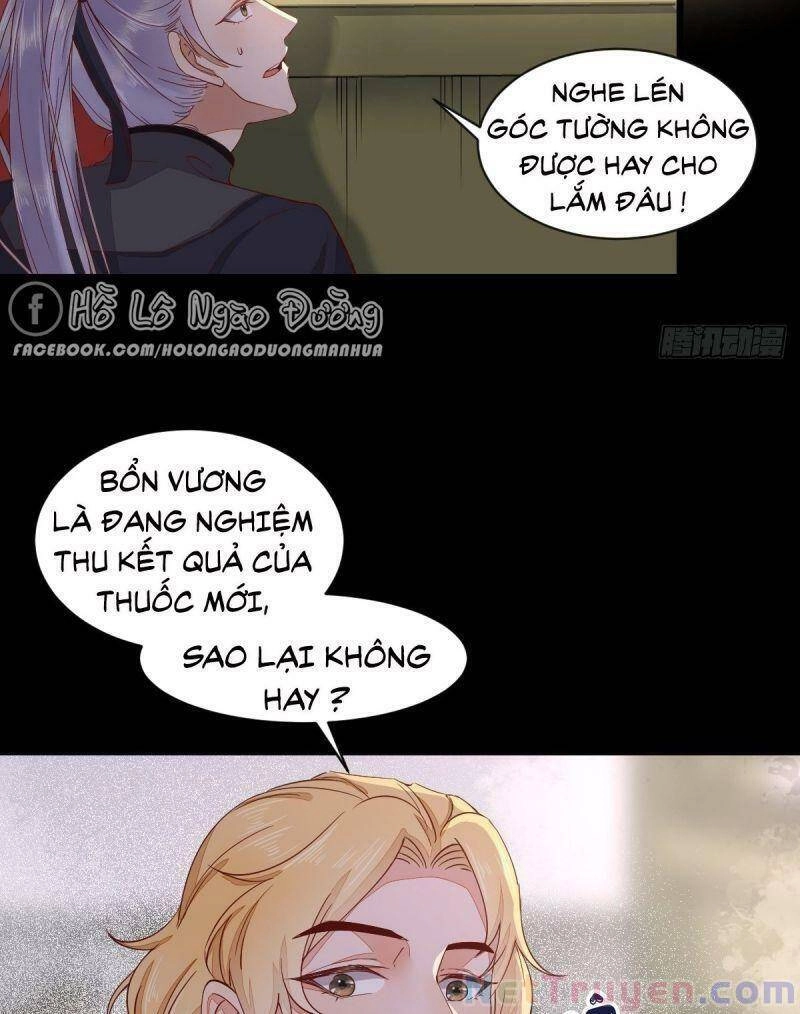 Sát Thủ Vương Phi Không Dễ Chọc Chapter 46 - 19