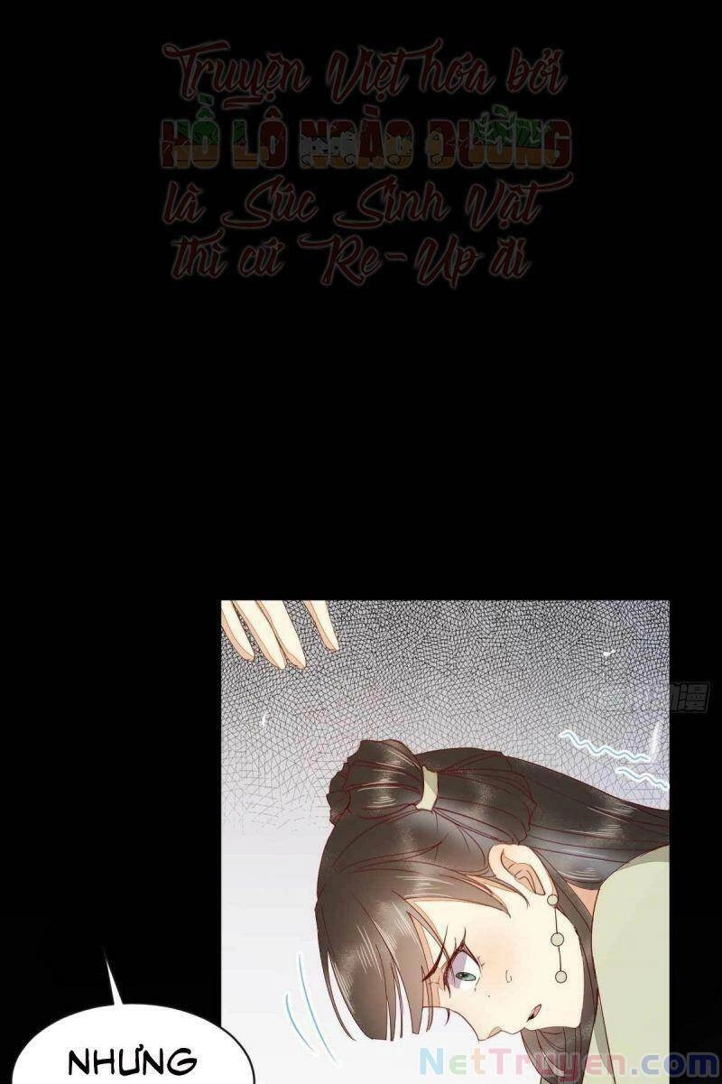 Sát Thủ Vương Phi Không Dễ Chọc Chapter 46 - 45