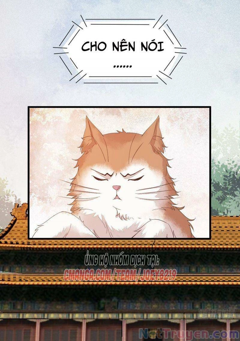 Sát Thủ Vương Phi Không Dễ Chọc Chapter 47 - 3