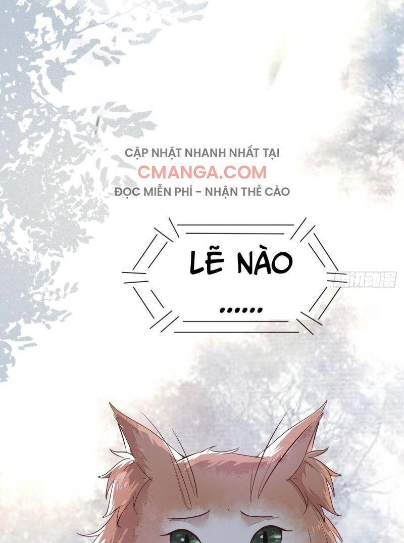 Sát Thủ Vương Phi Không Dễ Chọc Chapter 48 - 51