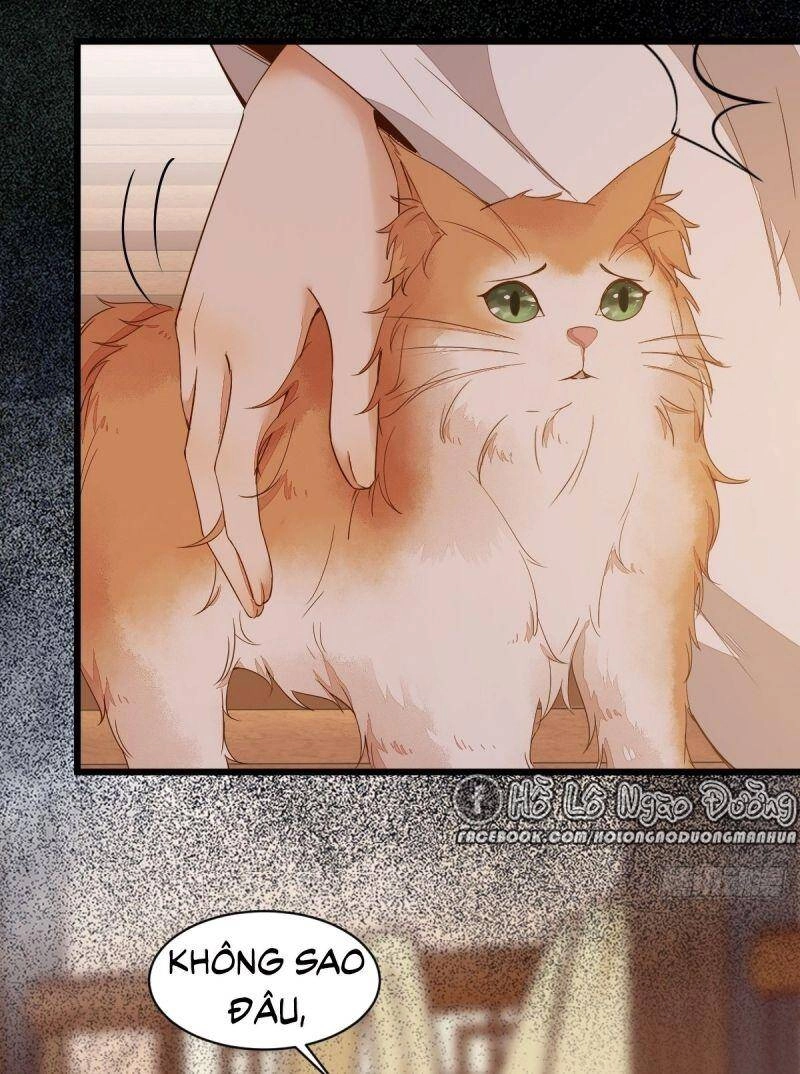 Sát Thủ Vương Phi Không Dễ Chọc Chapter 48 - 53