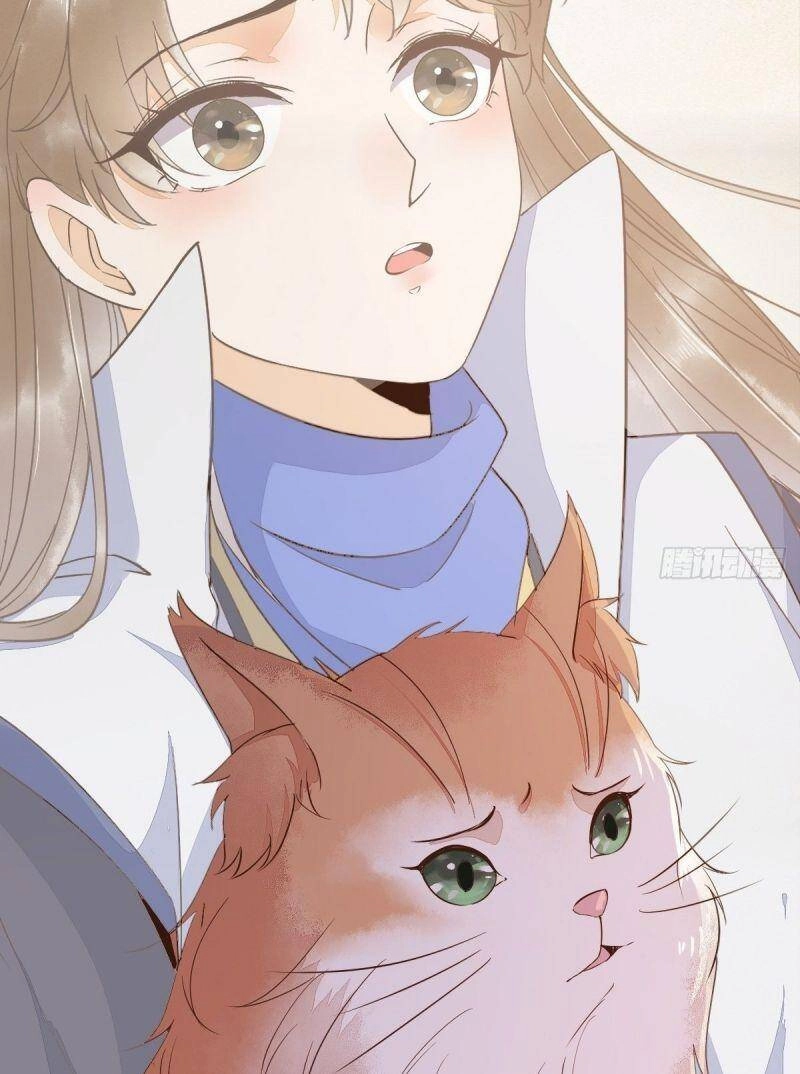 Sát Thủ Vương Phi Không Dễ Chọc Chapter 48 - 57