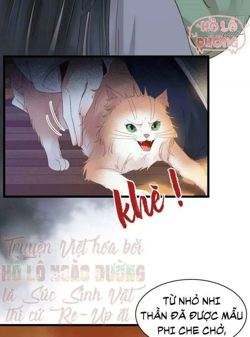 Sát Thủ Vương Phi Không Dễ Chọc Chapter 49 - 8