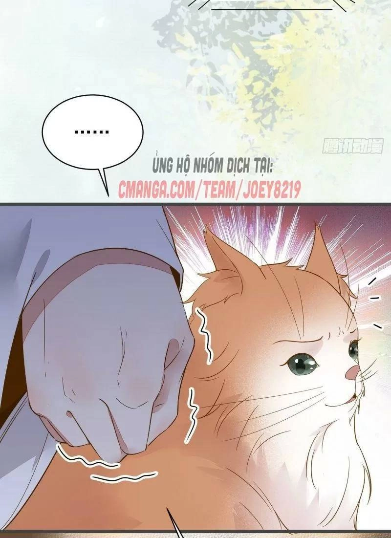 Sát Thủ Vương Phi Không Dễ Chọc Chapter 49 - 17