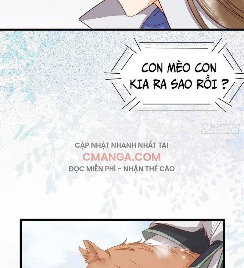 Sát Thủ Vương Phi Không Dễ Chọc Chapter 49 - 37