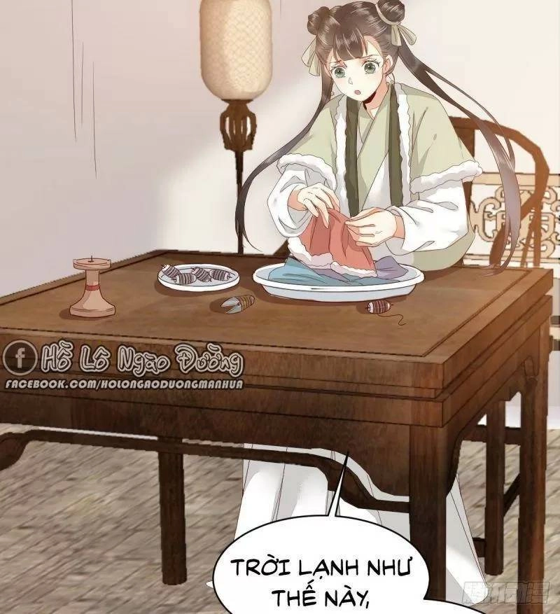 Sát Thủ Vương Phi Không Dễ Chọc Chapter 49 - 45